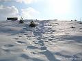 DSCN1558 (PN controluce zona Pradut di Claut)